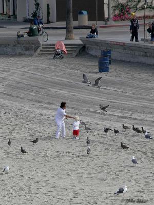 Gulls and Child