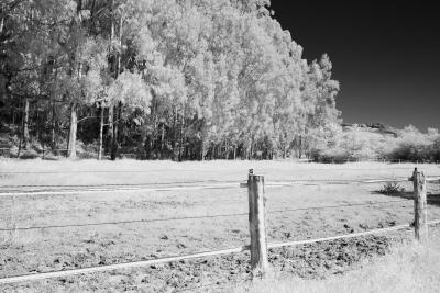 IMG00005eu fence.jpg