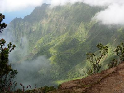 Hawaii05