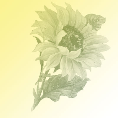 sunflower-brush.jpg