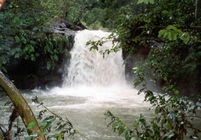 Falls on the road to Hana