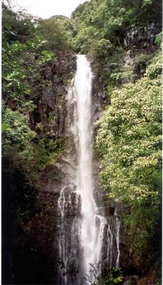 Maui Falls #1