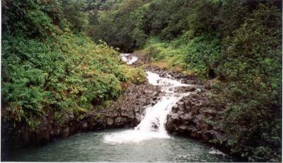Stream & Pool on the Road to Hana