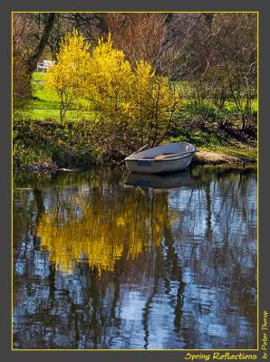 Spring Reflections by Peter Thorup