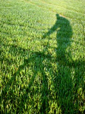 Shadows in the Meadows ~ bracket