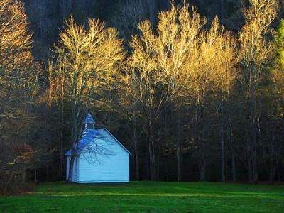 Evening Shadows by Gordon W