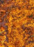 Rusty Lid Abstract by Gordon W