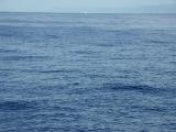 Water, water everywhere by Mike Richter