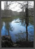 Final Pond by Azure Feast