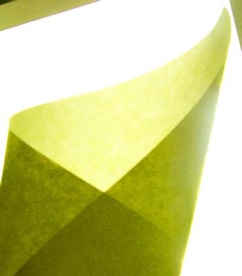 Olive and Yellow