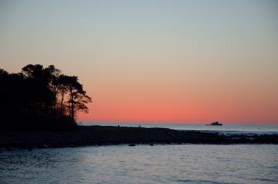 sunrise_tug.jpg