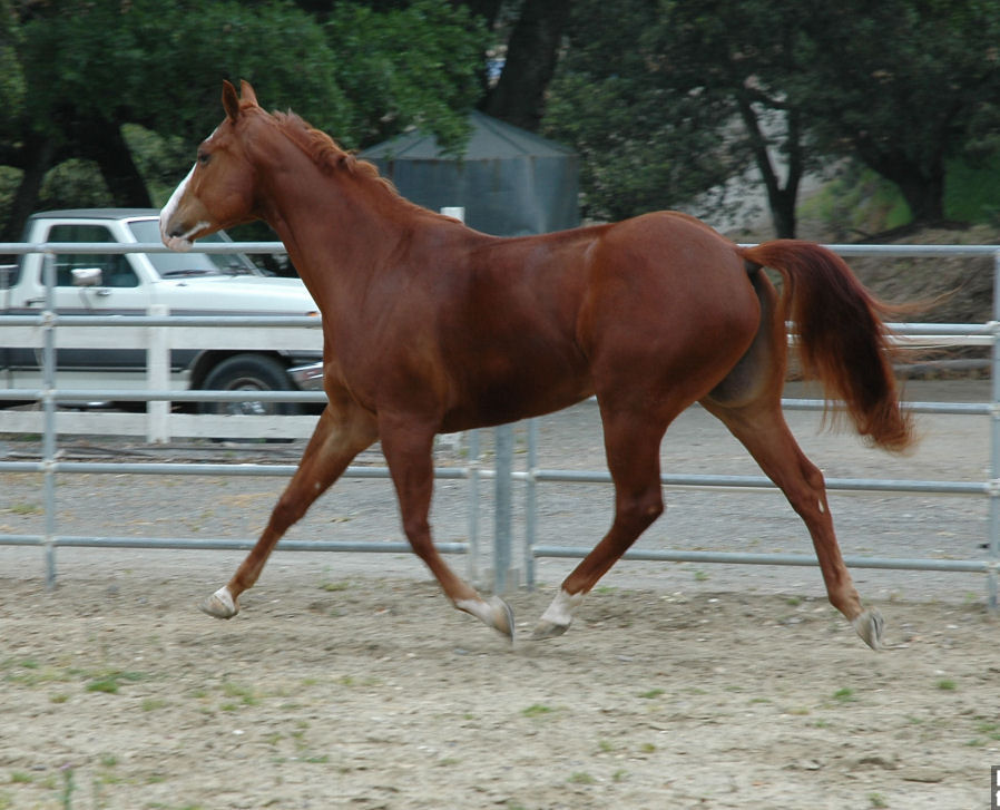 DSC_2567.JPG
