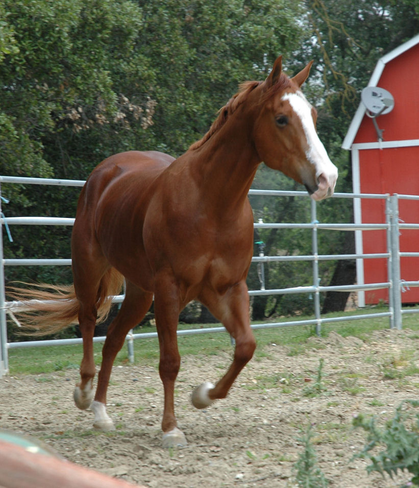 DSC_2597.JPG
