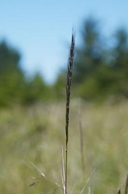 u17/nedbade/medium/42461744._DSC0020curvesweb.jpg