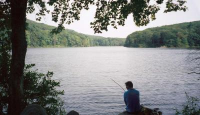 Ah, this is the life, just sitting beside Benedict Pond at the Beartown State Forest.