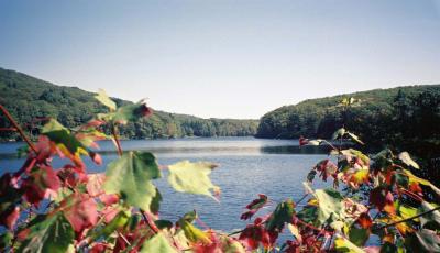 Benedict Pond in Beartown State Forest.