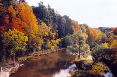 Georgetown Ravine in October.