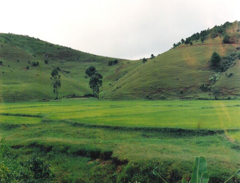 Lac Duong, Dalat