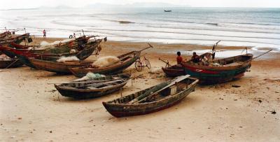 bai sau.Vung Tau