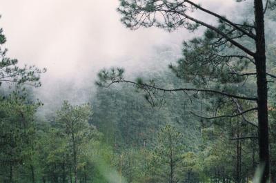 Prenn . Dalat