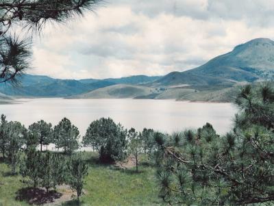 Suoi Vang. Dalat