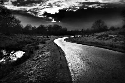 Landscapes in black and white