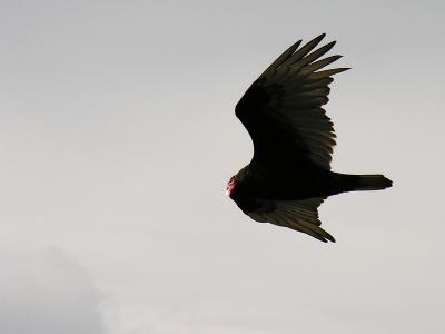 DSCN8861_800.jpg