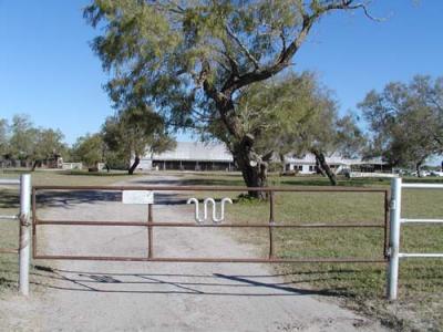 Old Mesquites