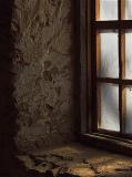 Light from the window - Brent Lossing