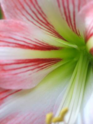 140_4053.JPG