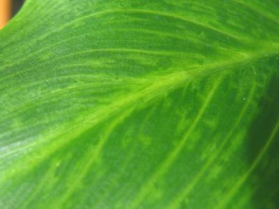 140_4067.JPG