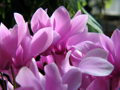 140_4068.JPG
