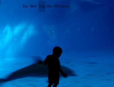 Blue2.jpg