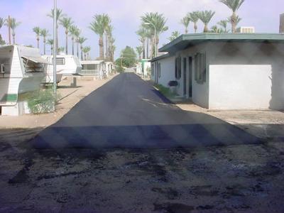 Palm lane looking north