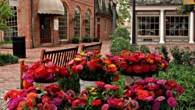 8th PlaceAmy's Gardenby Autumnsky