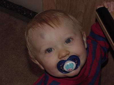 First goose egg - Feb 15, 2003