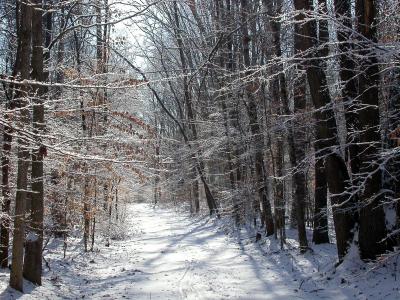 North Orenda Road