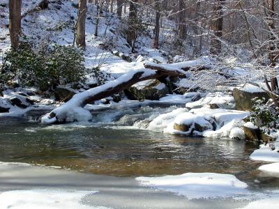 Quantico Creek from North Valley Trail