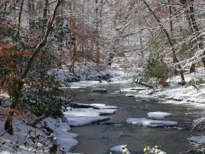 Quantico Creek from North Valley Trail