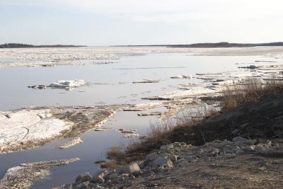 Looking south along shore