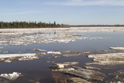 Ice floes moving fast