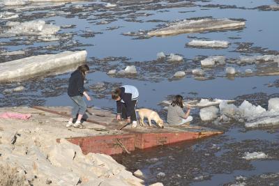 Children and dog on dock as ice floats by