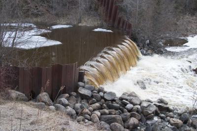 Dam on Butler Creek April 21
