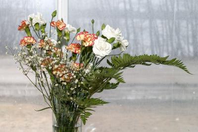 Flowers in front of screened window