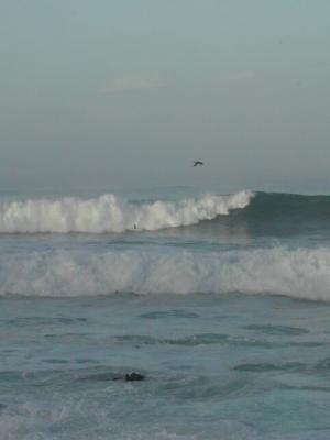 DSCN0377wav4.jpg