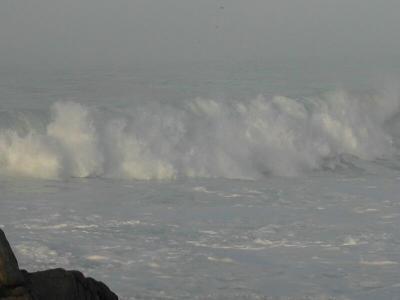 DSCN0385wav7.jpg