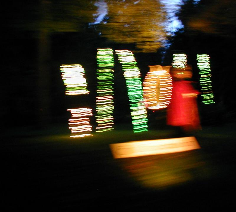 PA090029a.jpg