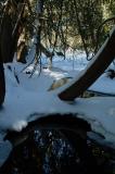 DSCF1061.jpg