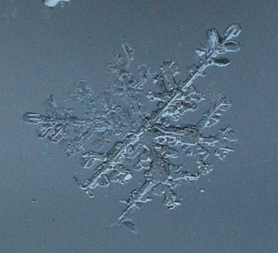 Snowflake 2 - Matt Dick (msd)