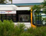 T617 - BrianJ